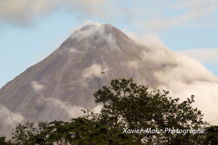 Arenal