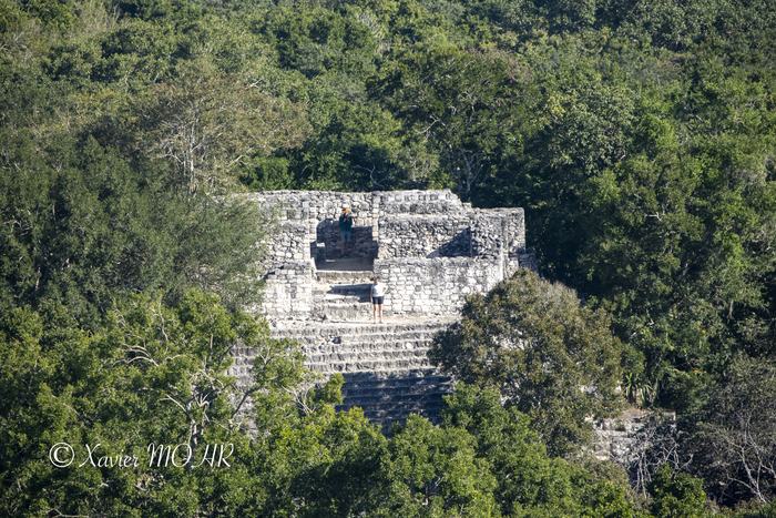 Temple dans la forêt