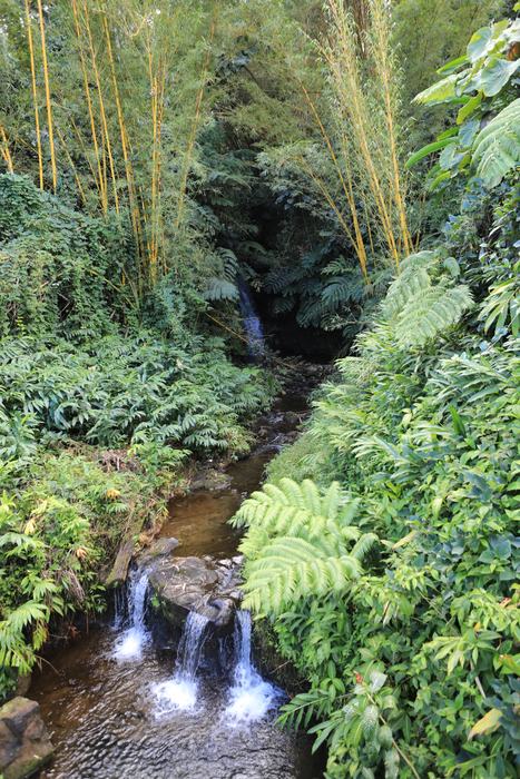 BigIsland_croisiere-36