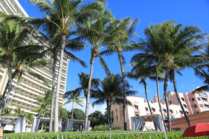 Honolulu_waikiki_plage-10
